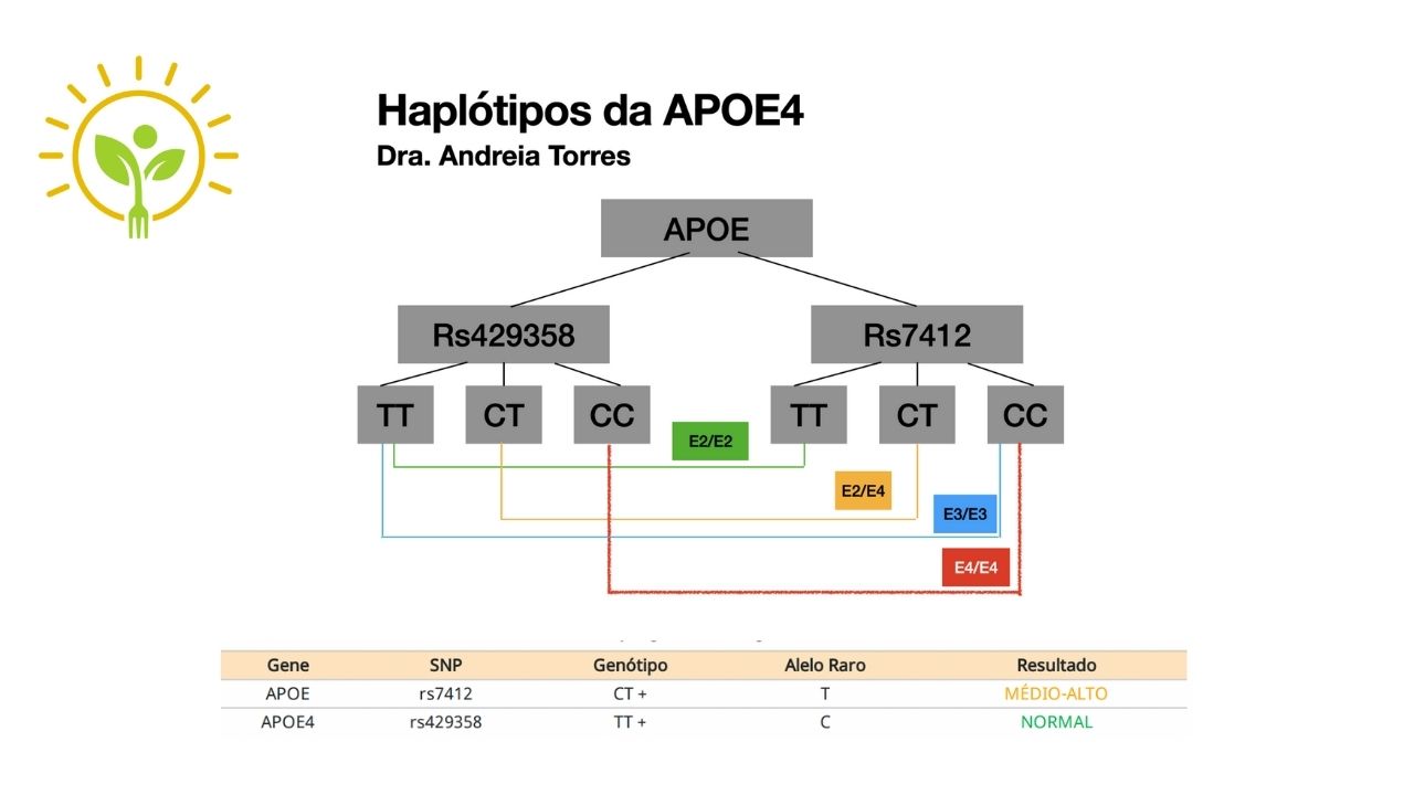 Interpretação haplótipo ApoE