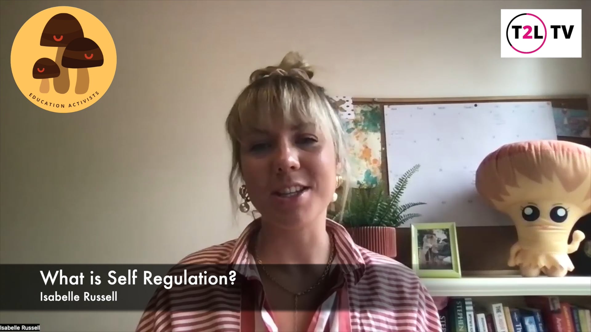 Strategies to Support Regulation