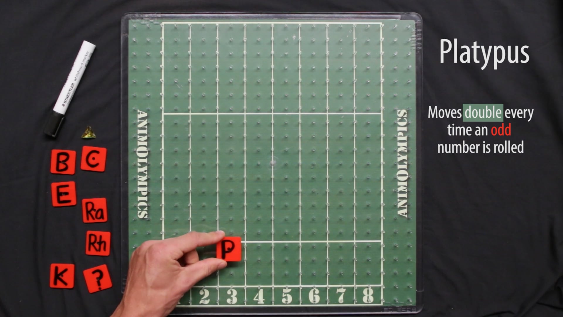 Animolympics. Yrs 2-11