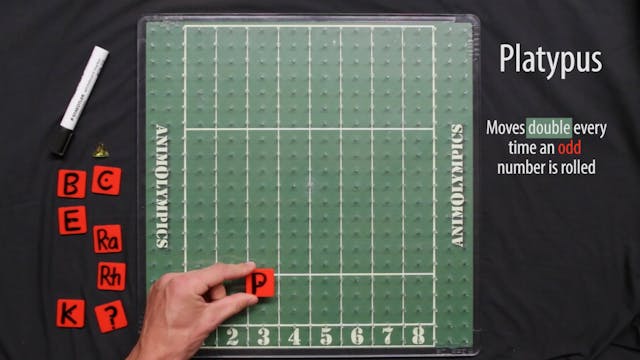 Animolympics. Yrs 2-11