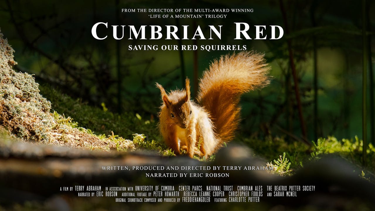 Cumbrian Red - Saving our Red Squirrels