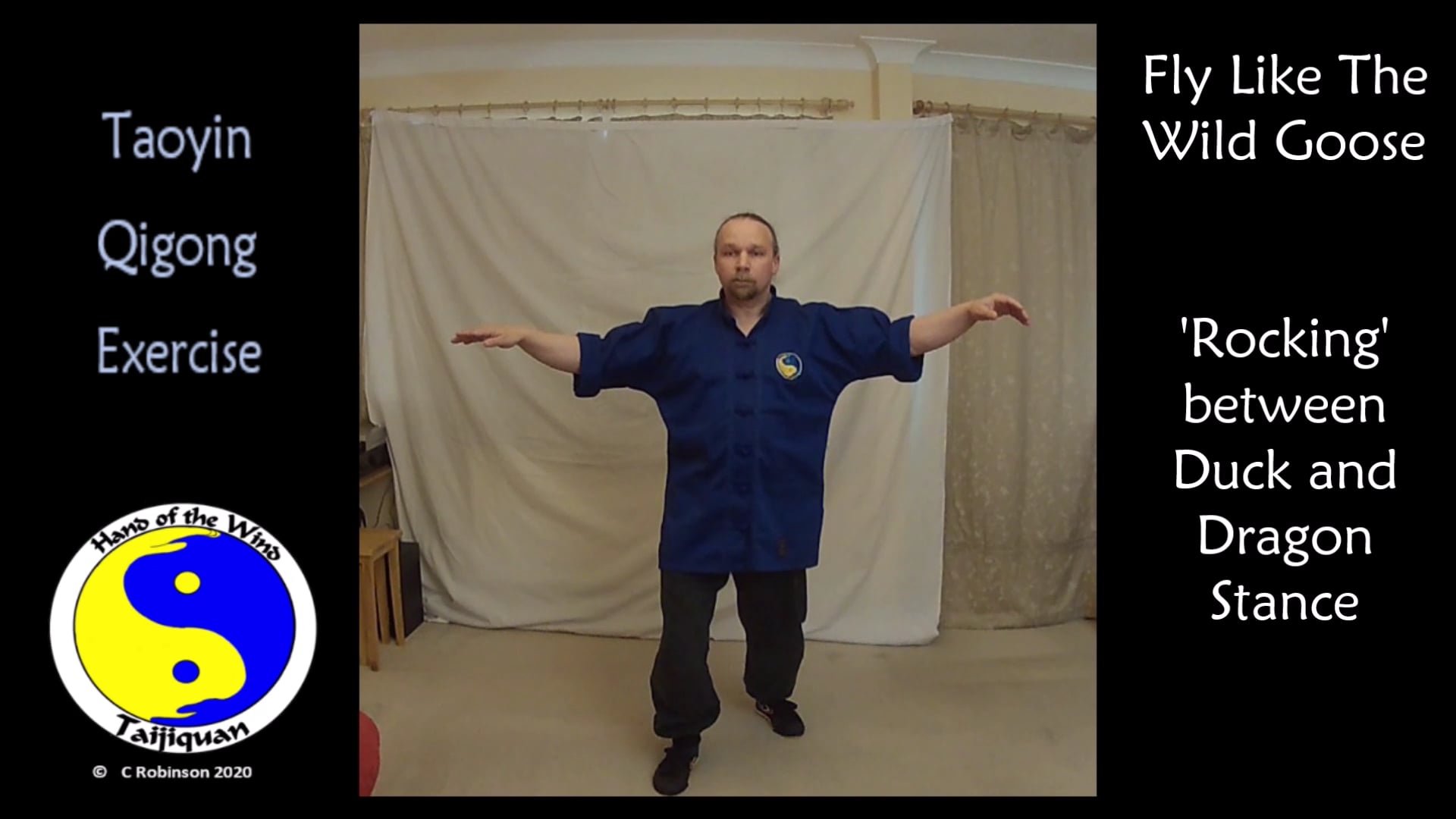 Fly like Goose Taoyin