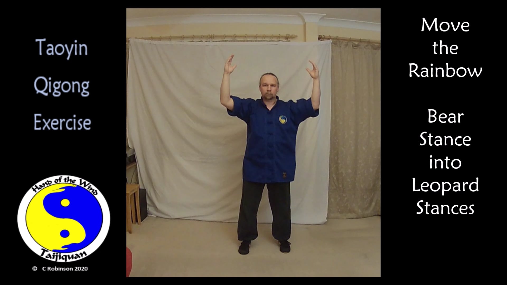 Tai Chi and Qigong Video