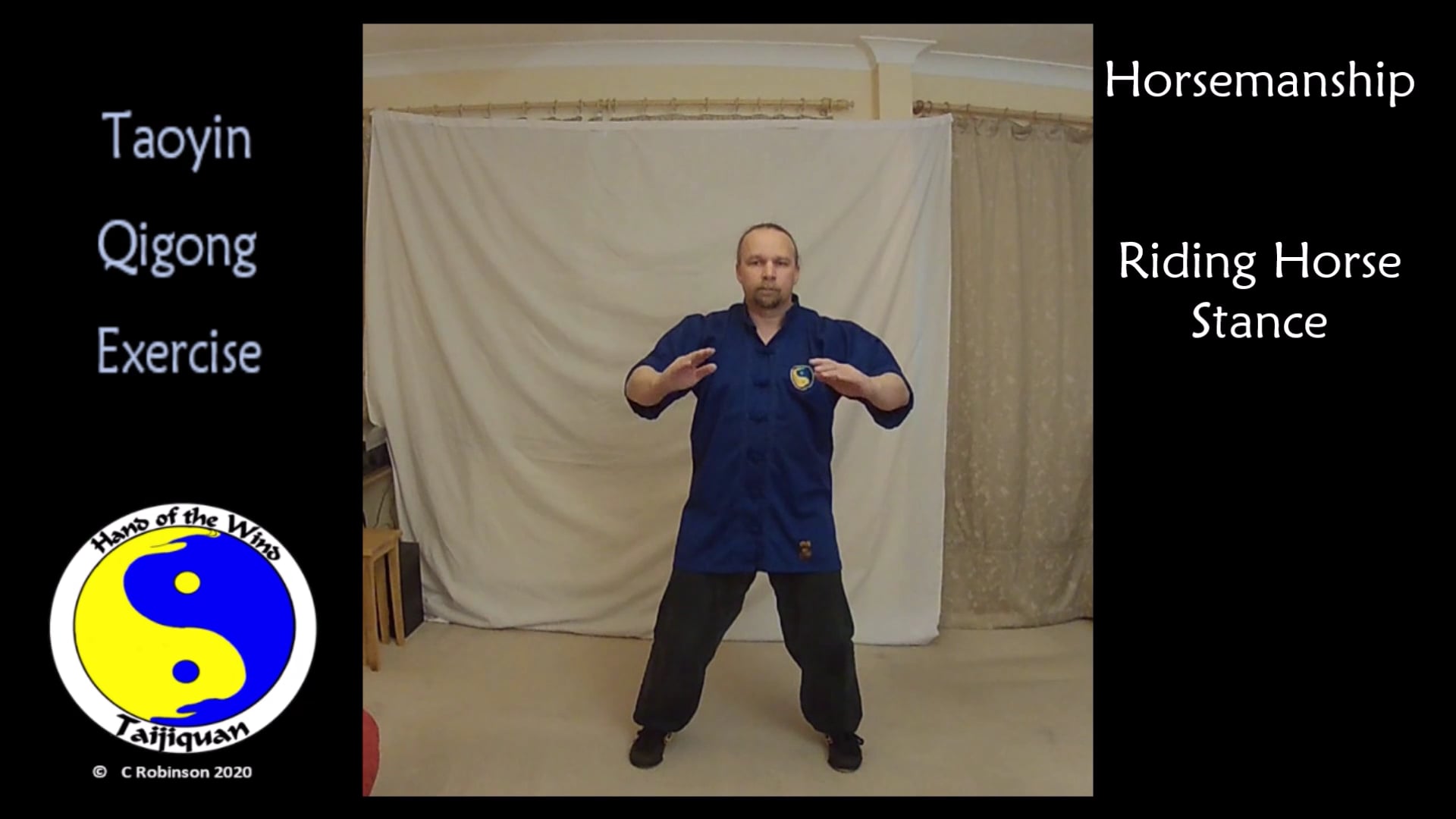 Tai Chi and Qigong Video