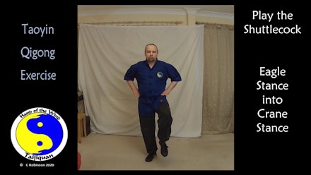 Tai Chi and Qigong Video