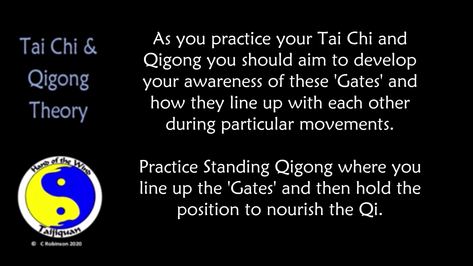 Tai Chi and Qigong Video