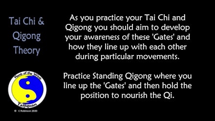 Tai Chi and Qigong Video