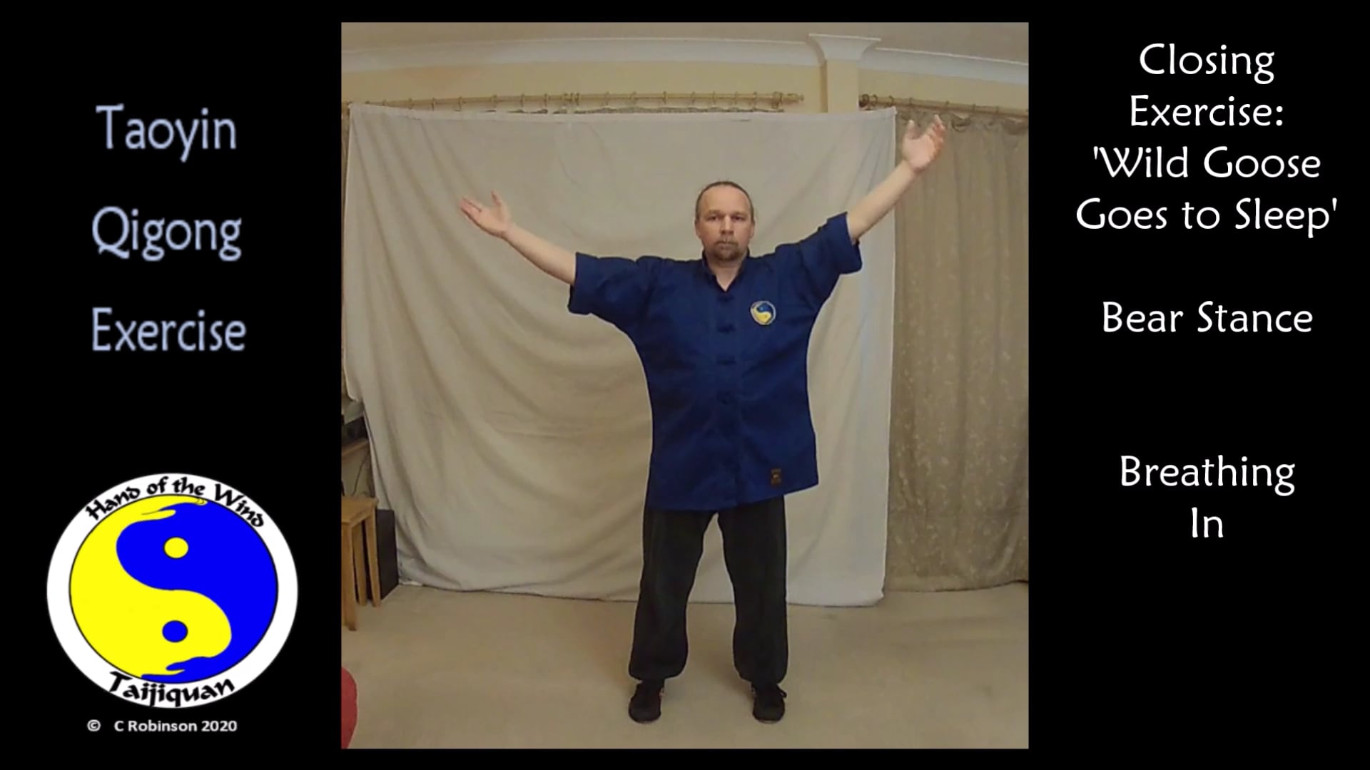 Wild Goose Sleeps Taoyin