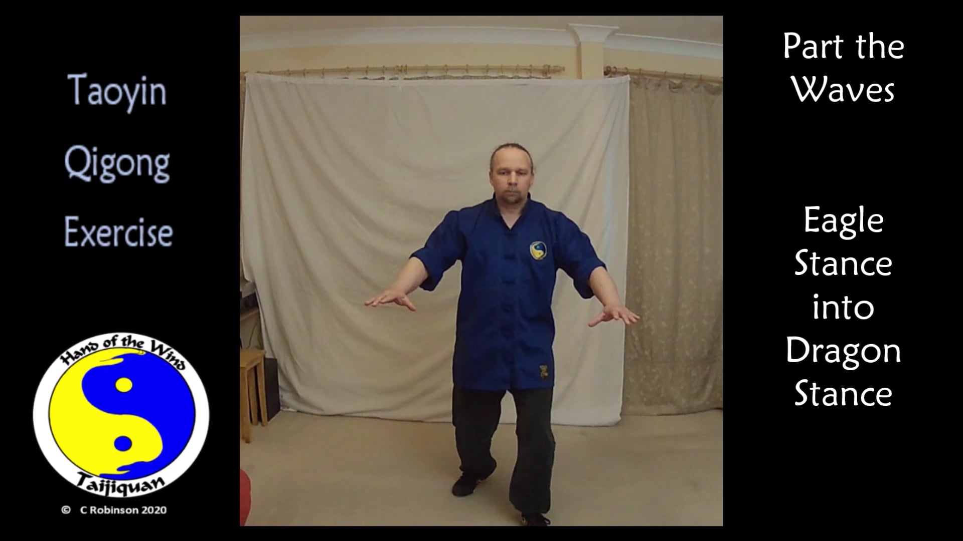 Tai Chi and Qigong Video