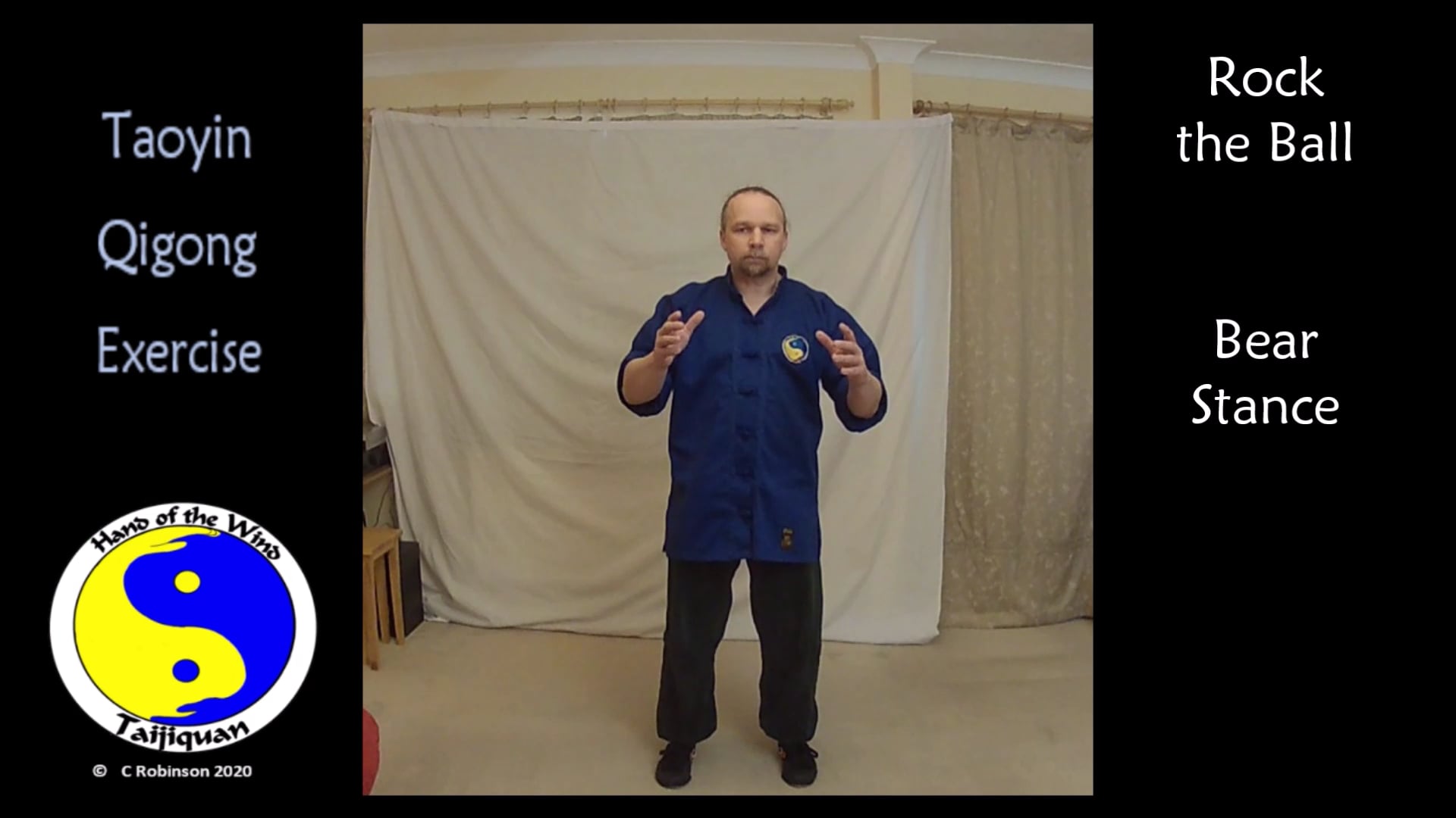 Tai Chi and Qigong Video