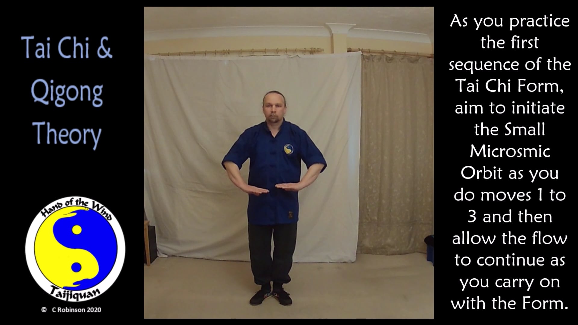 Tai Chi and Qigong Video