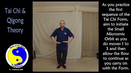 Tai Chi and Qigong Video