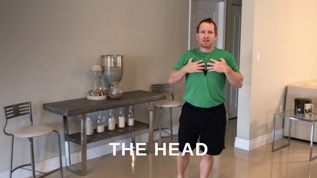 At Home 4 - The Head