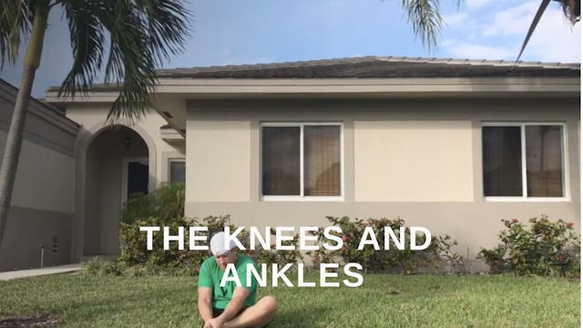At Home 3 - The Knees and Ankles