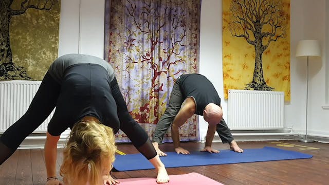 Prasarita Padottanasana