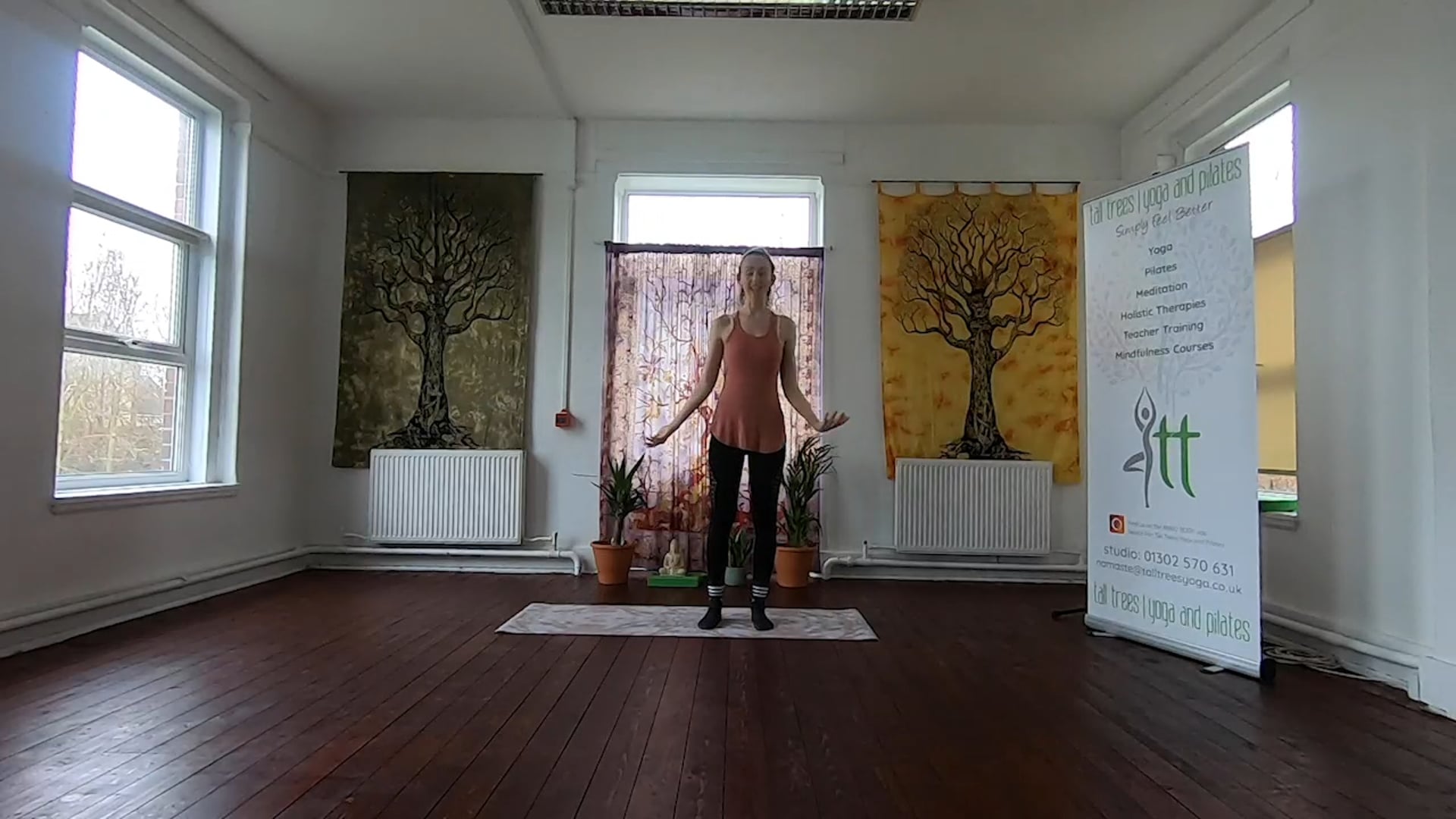 Pregnancy Pilates #1