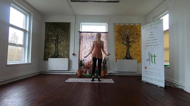 Pregnancy Pilates #1