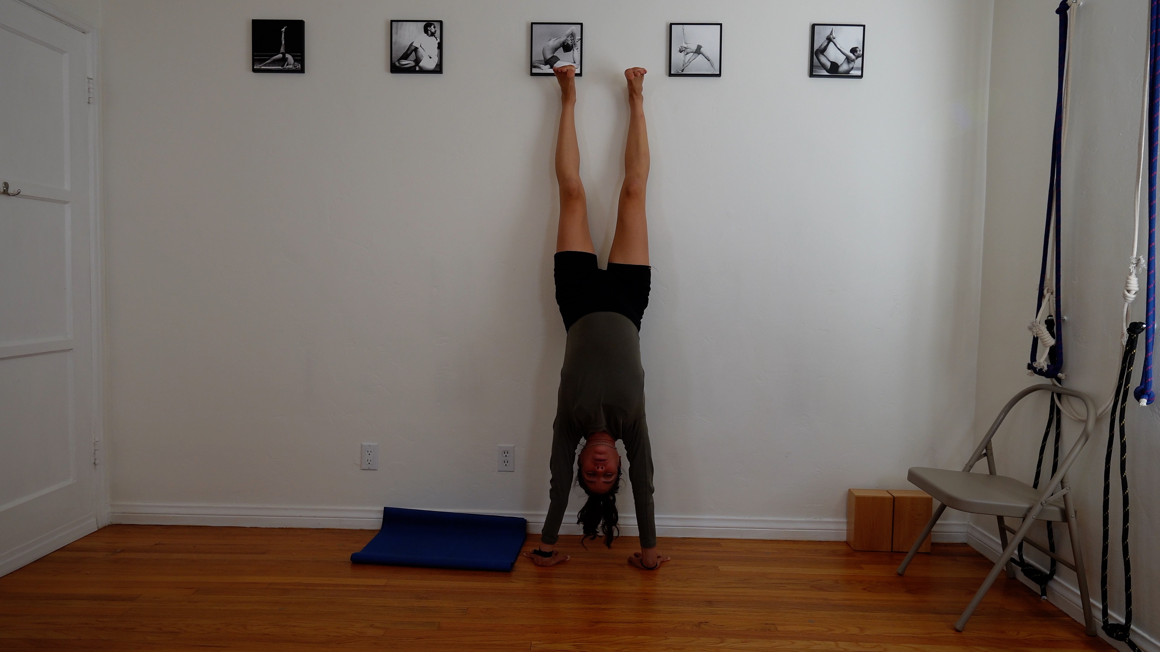 Pregnancy Course Introduction (Free)