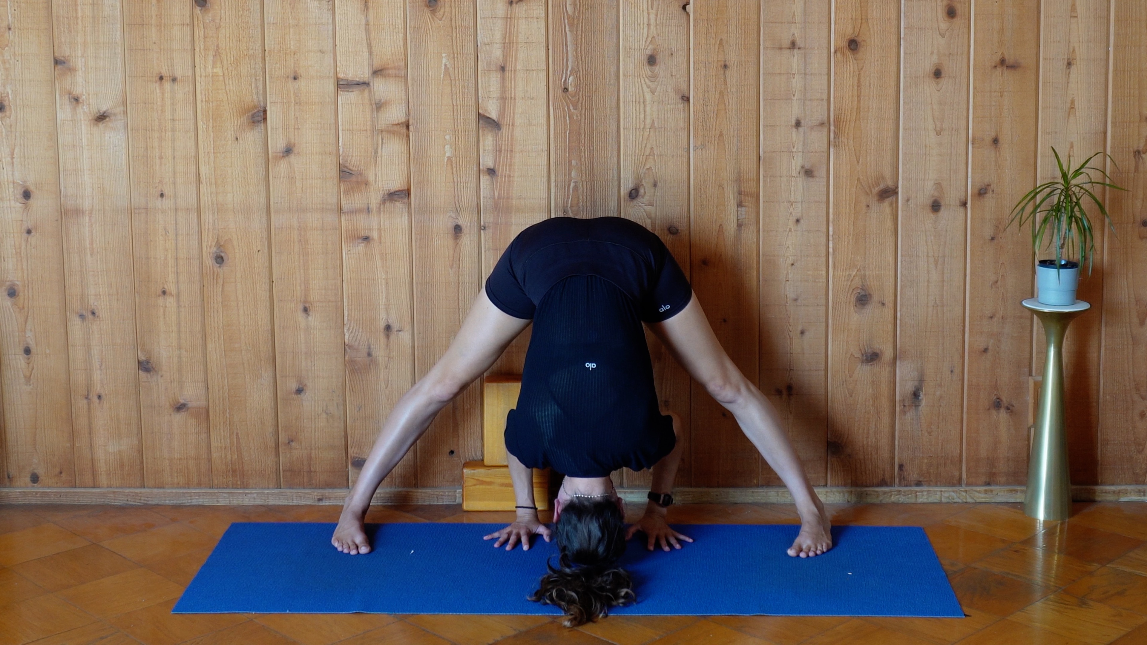 Iyengar Yoga for Back Pain Relief