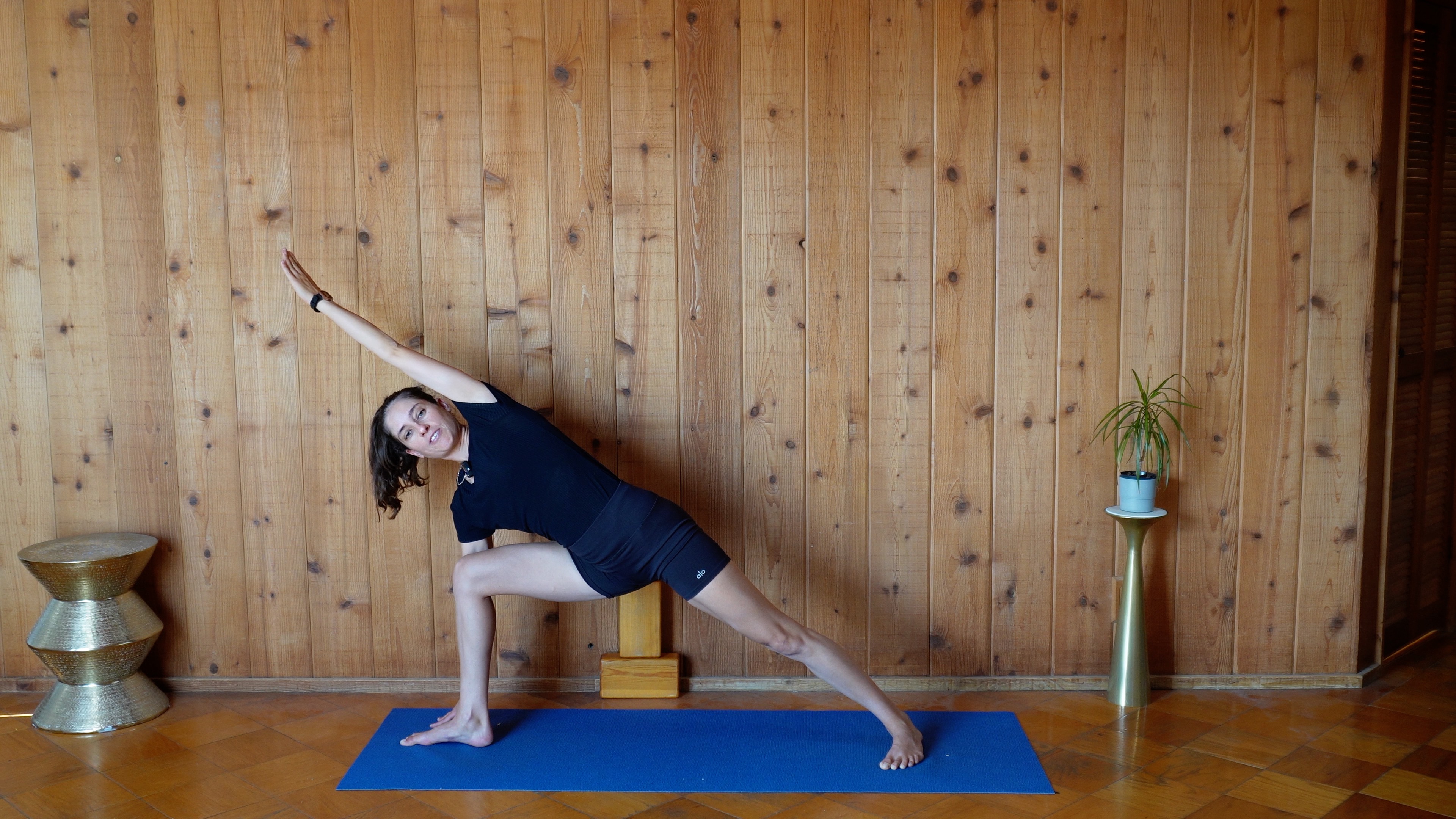Iyengar Yoga for Beginners