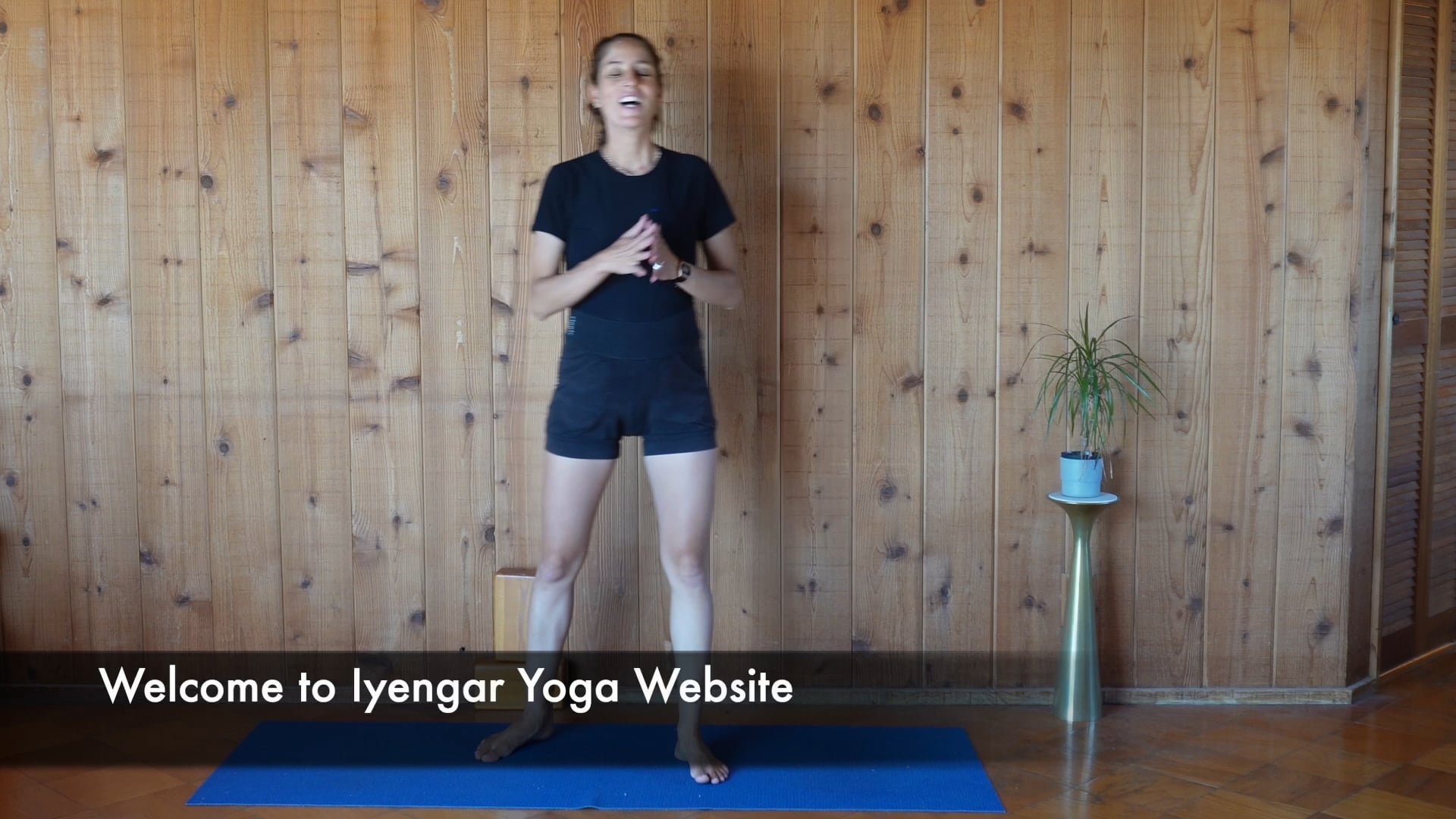 Welcome to Iyenger Yoga Website
