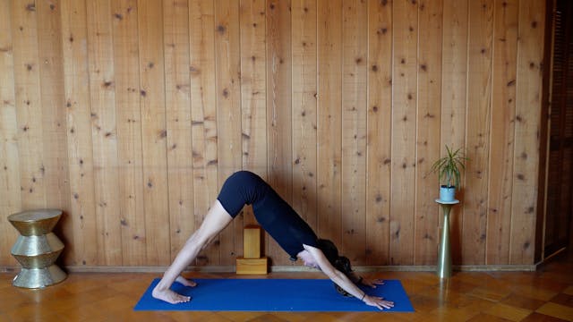 Learn How to Do a Headstand in 5 Weeks