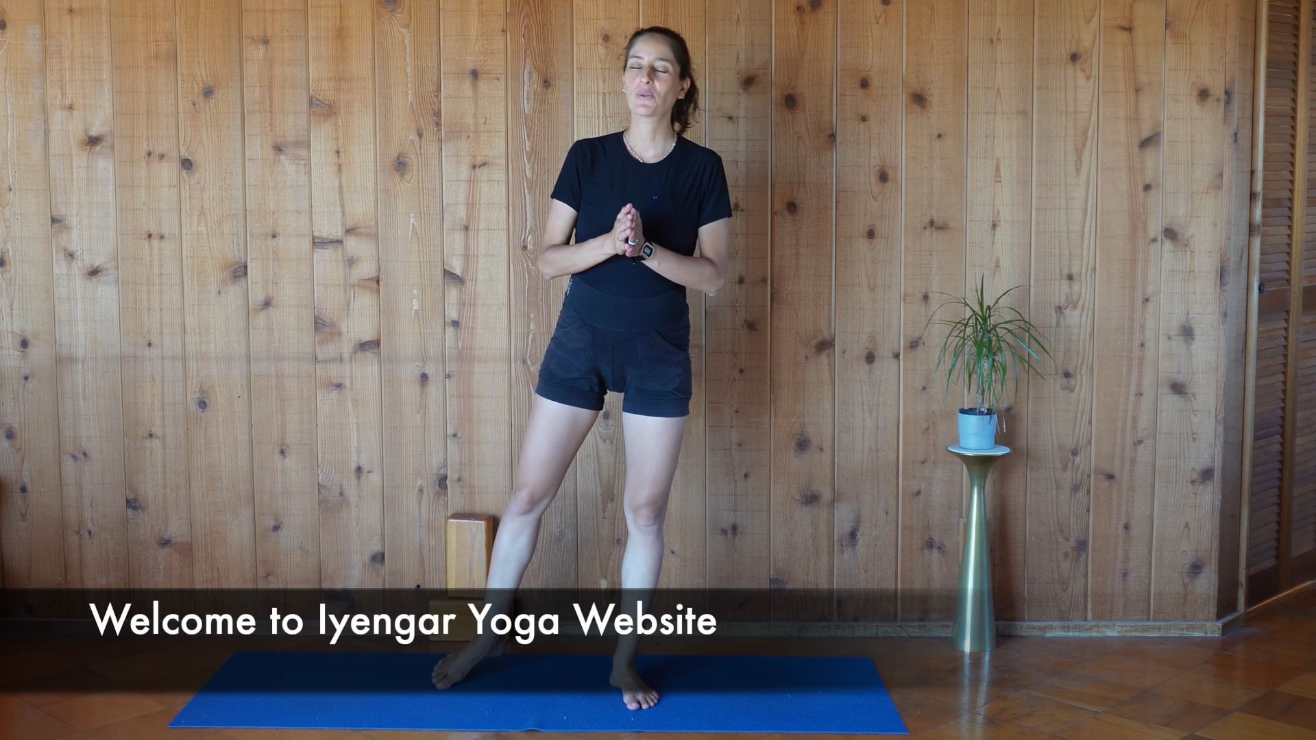 Welcome to Iyengar Yoga Website