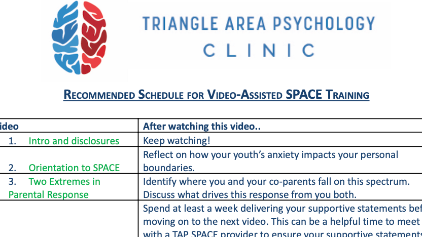 Recommended Schedule for Video-Assisted SPACE Training