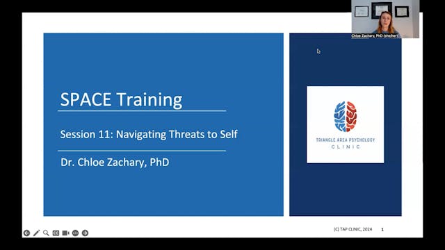 Session 11: Navigating Threats to Self