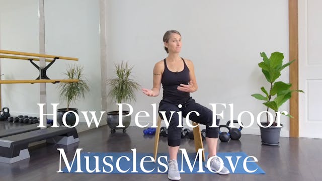 How Pelvic Floor Muscles Move | Day 5