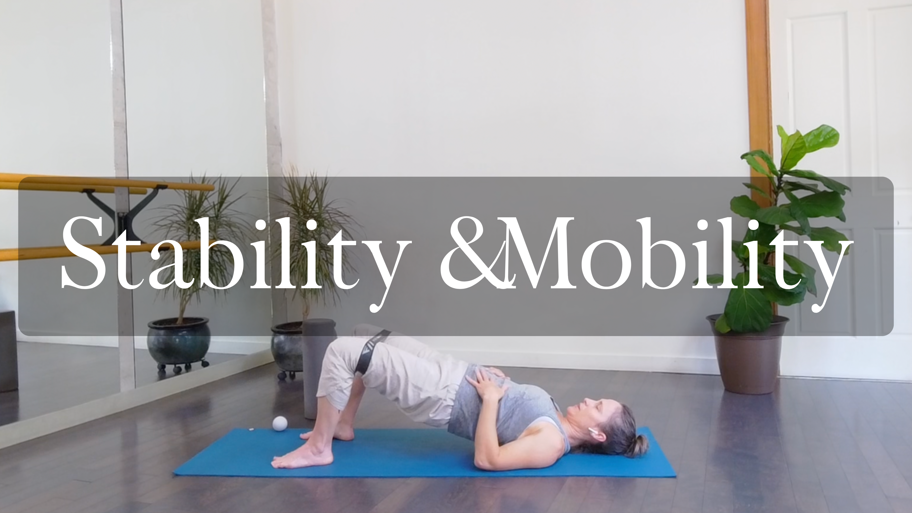 Stability & Mobility