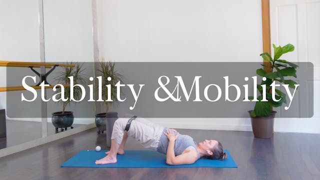 Stability & Mobility