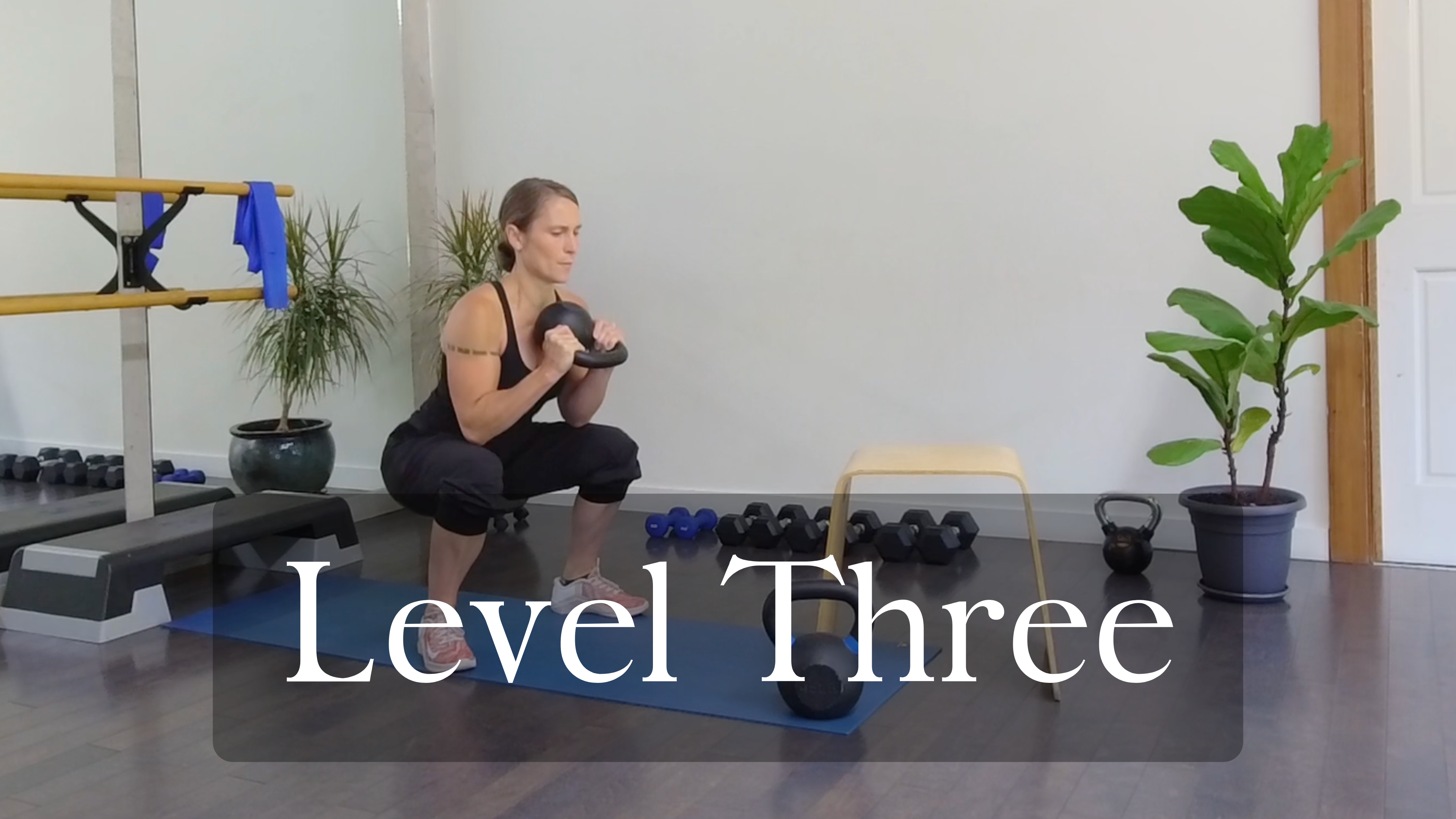 level 3 Strength Training - It's go time.