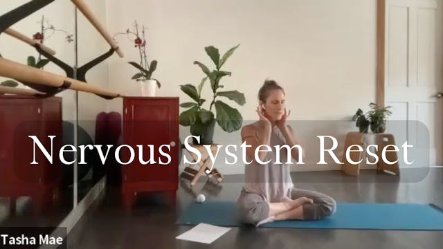 Nervous System Reset (from live)