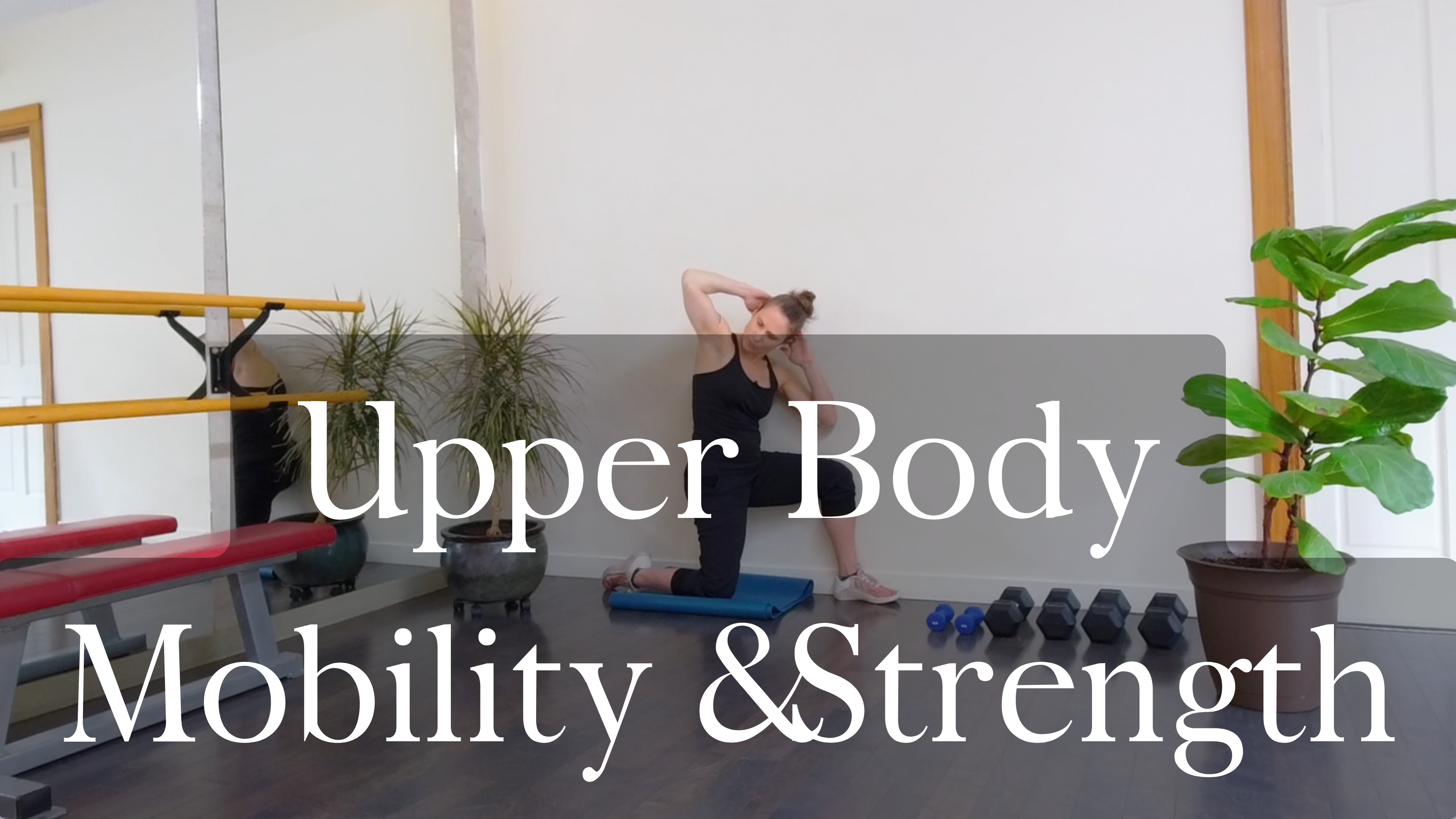 Upper body Mobility & Strength