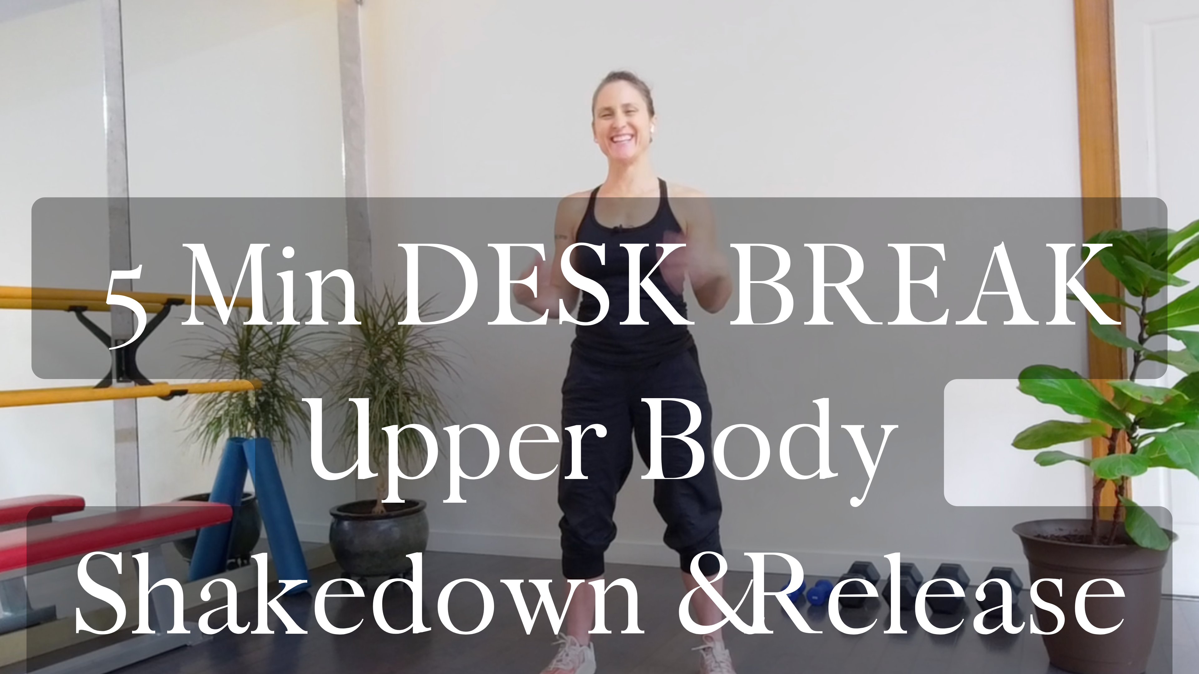 5 Min DESK BREAK - Upper Body shakedown and release