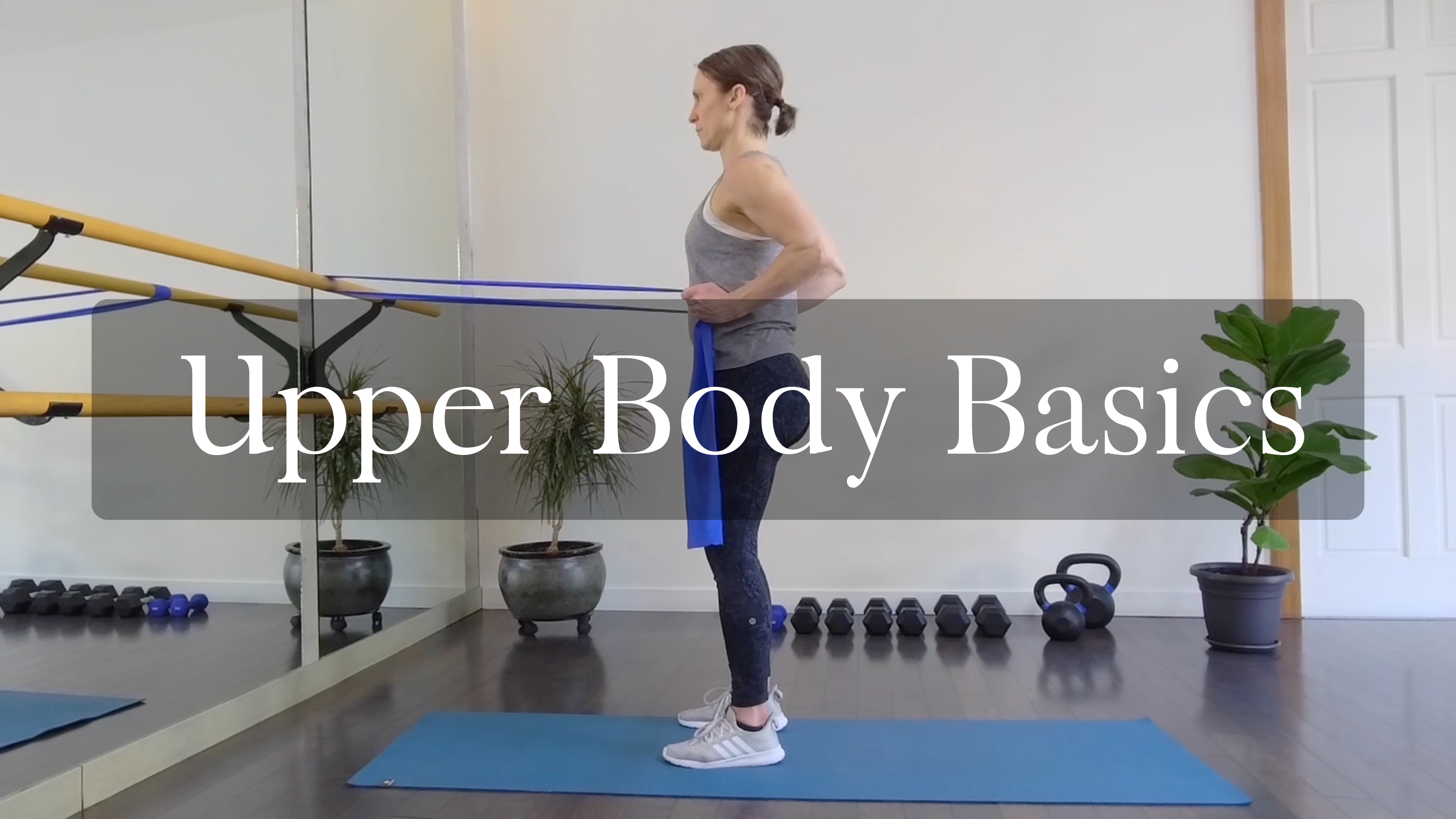 Upper Body Basics 