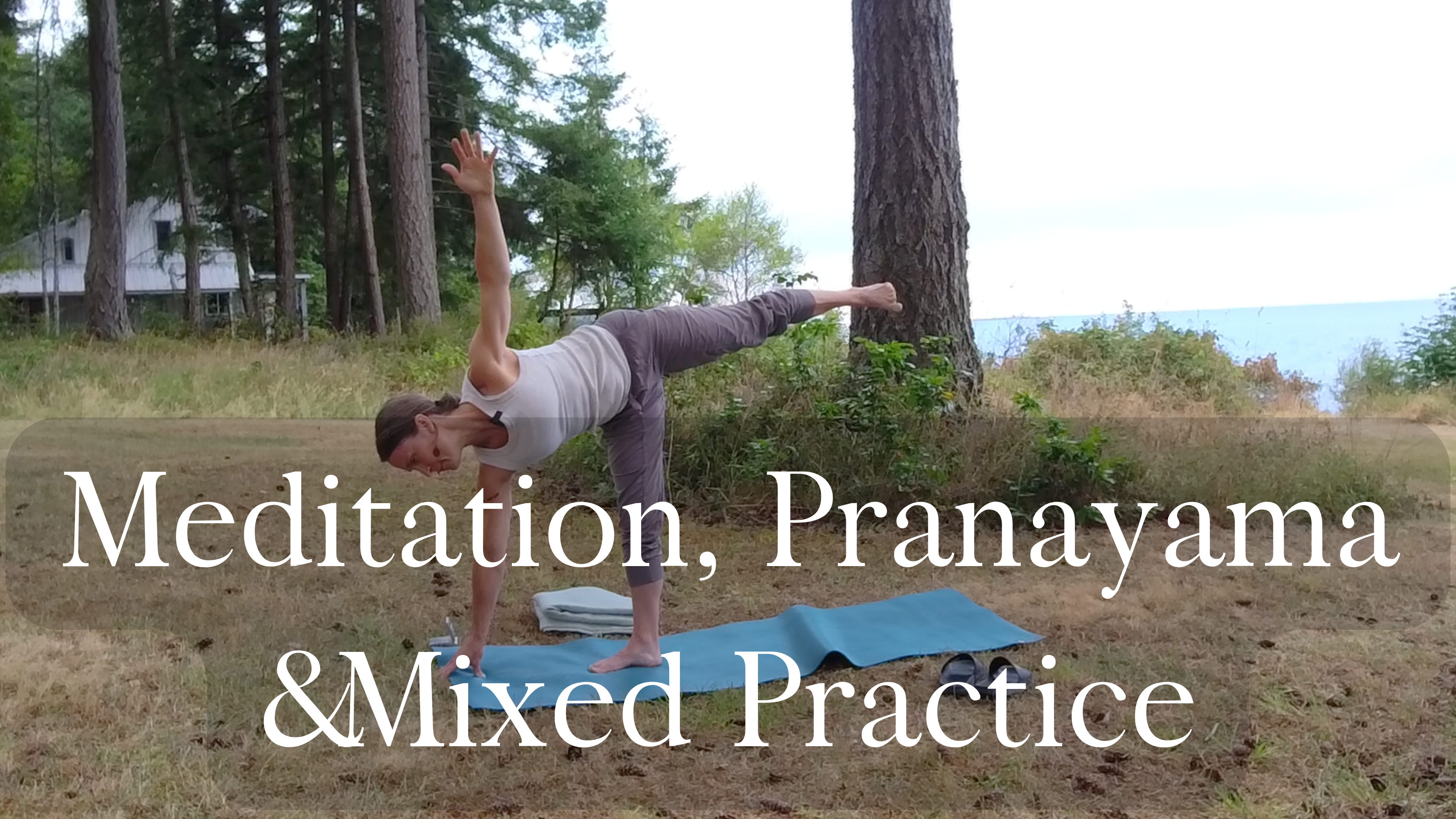 Meditation, Pranayama, & Mixed Practice