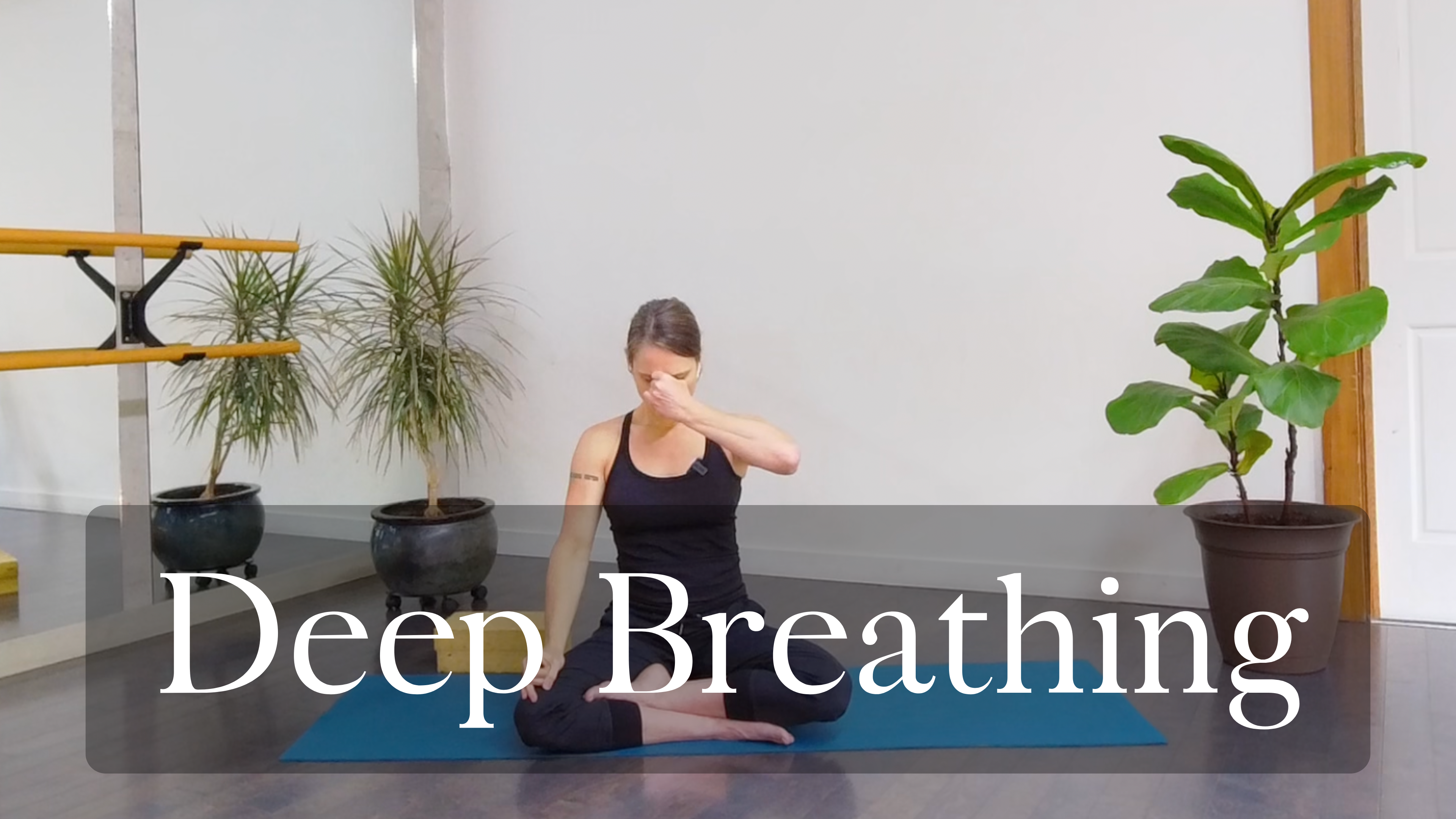 Deep Breathing, Standing Poses, and Floor Stretches (from live)
