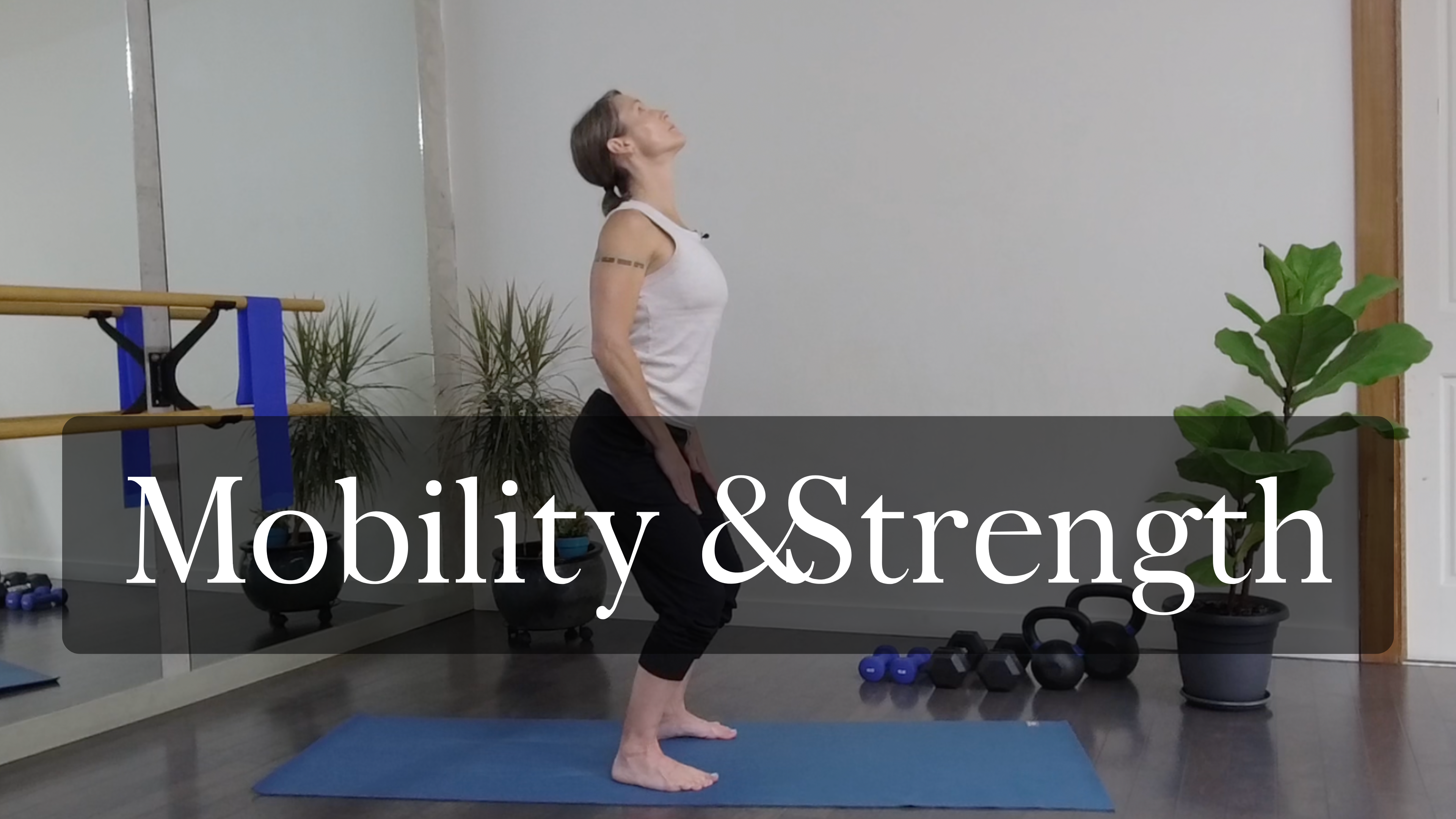 Mobility & Strength