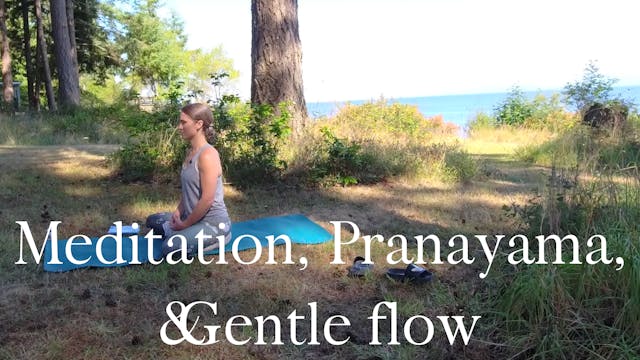 Meditation, Pranayama, & Gentle Flow