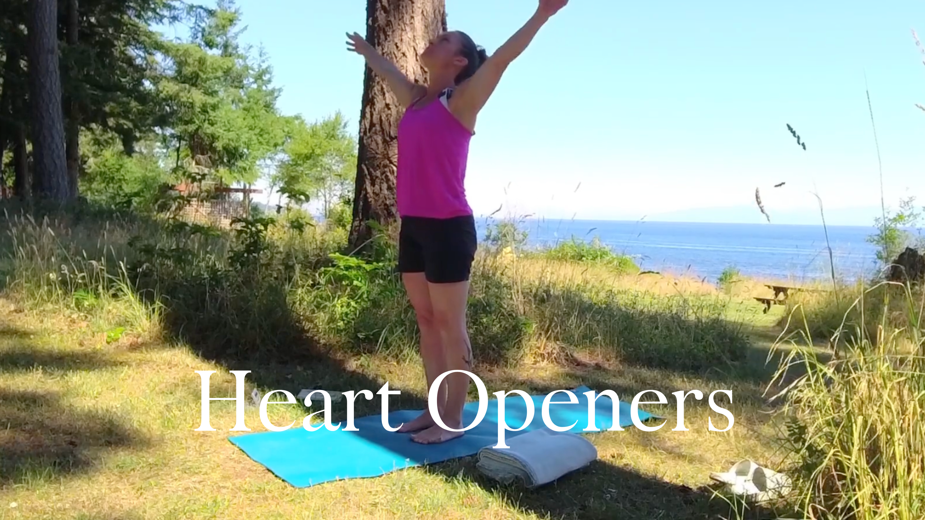 Sitting meditation, breath, standing poses and gentle back bends