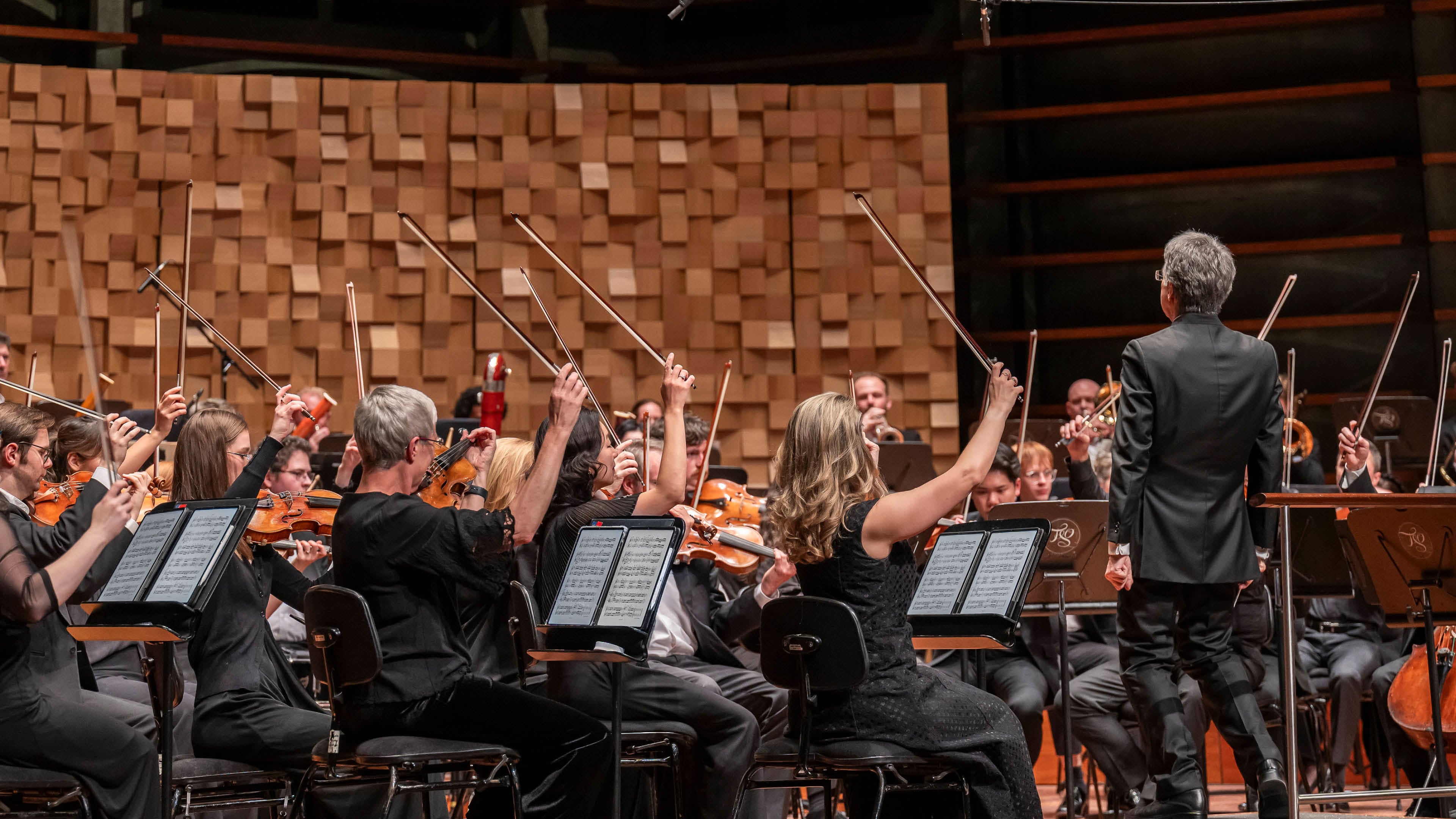 TSO On Demand Video