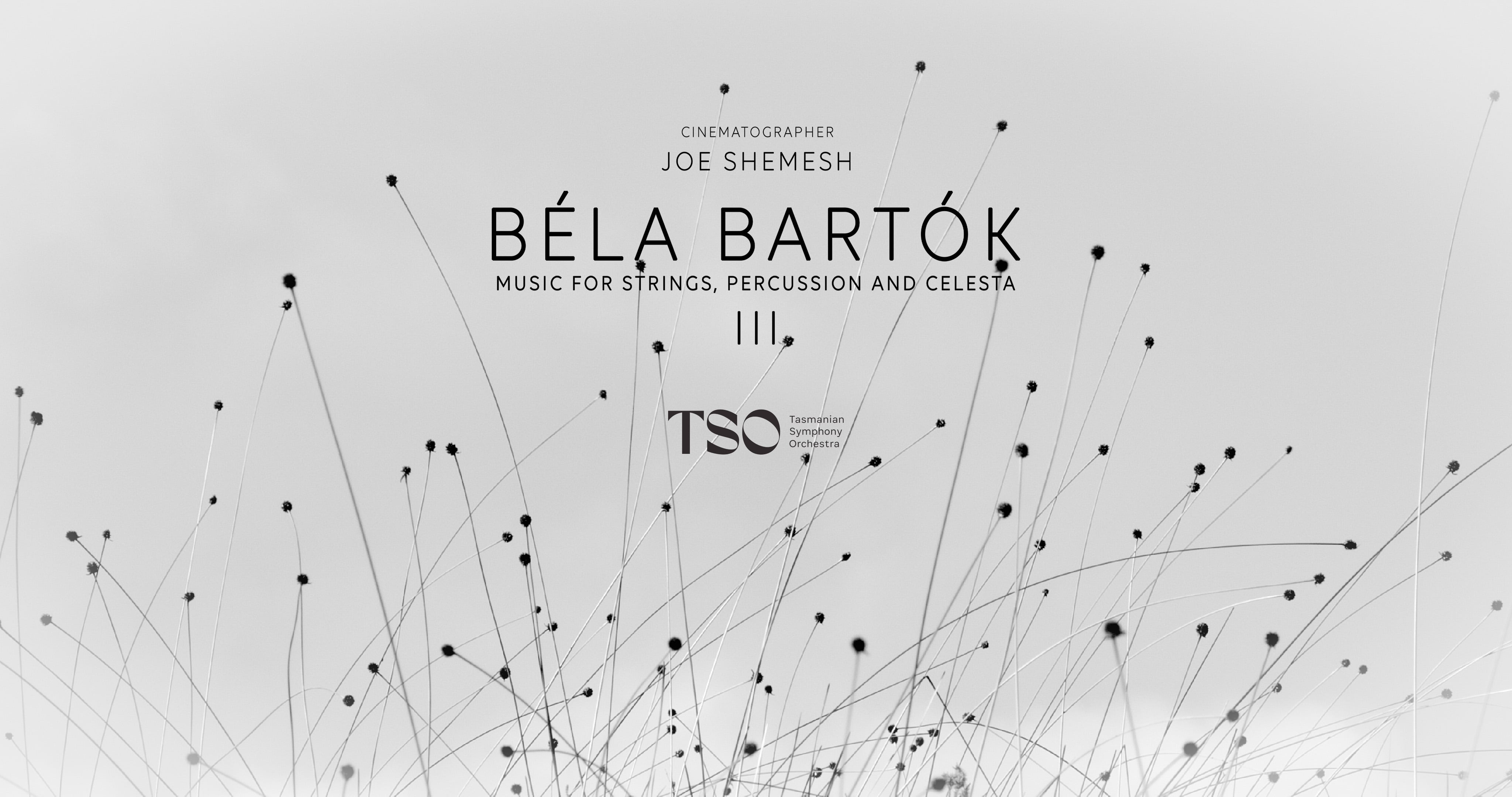 Béla Bartók Music for Strings, Percussion and Celesta: 3rd movement