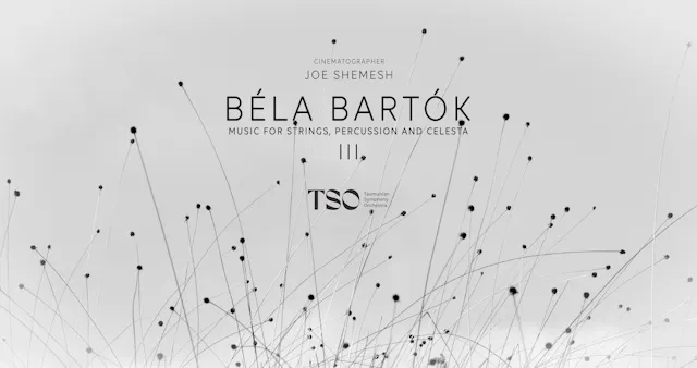 Béla Bartók Music for Strings, Percus...