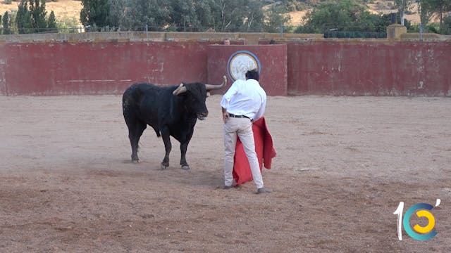 Episodio 11: Ponce se enfrenta a los ...