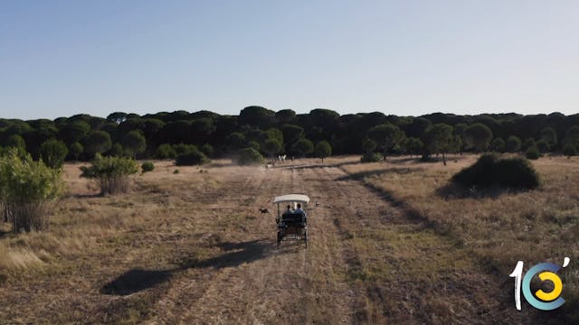 Episodio 8: Lea disfruta de su casa a...