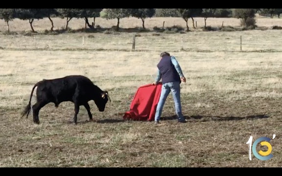 Episodio 22: Perera en un tentadero de machos torea con 'El Niño de la Capea'