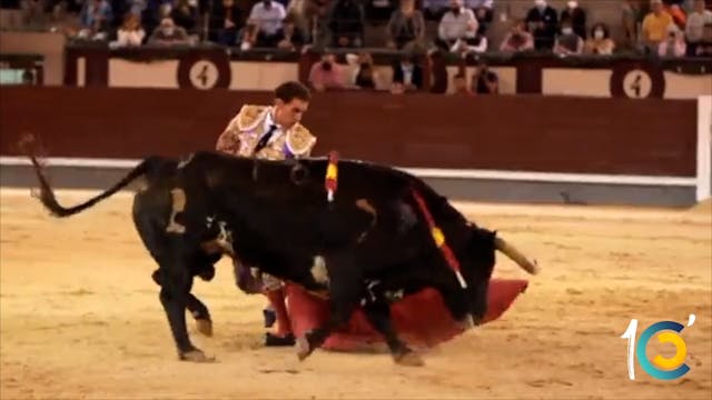 Ginés Marín, el torero de Madrid