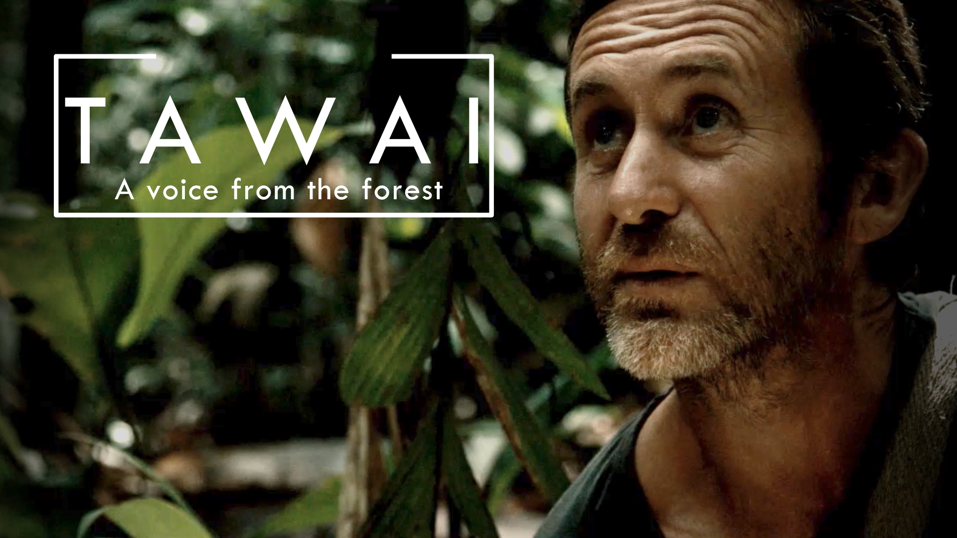 TAWAI - A Voice From the Forest